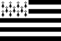 Modern flag