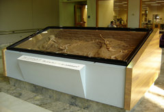 The Centaur from Volos, at the University of Tennessee Hodges Library.