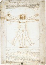 Leonardo da Vinci's Vitruvian Man