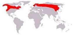 Moose map