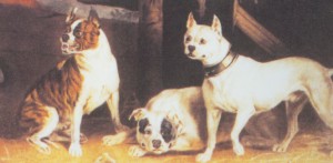 Wasp, Child and Billy